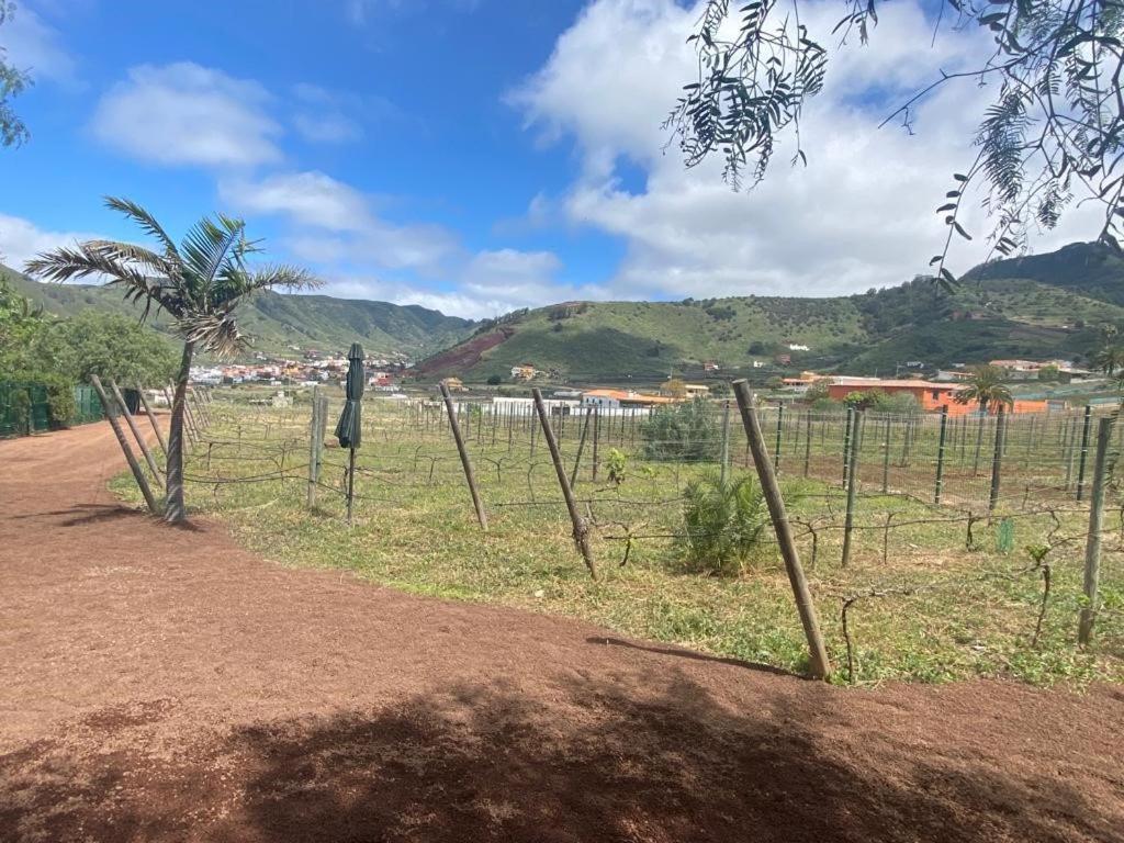 Casita Entre Vinedos, Experiencia Rural, Ideal Ninos. Tegueste Exteriér fotografie