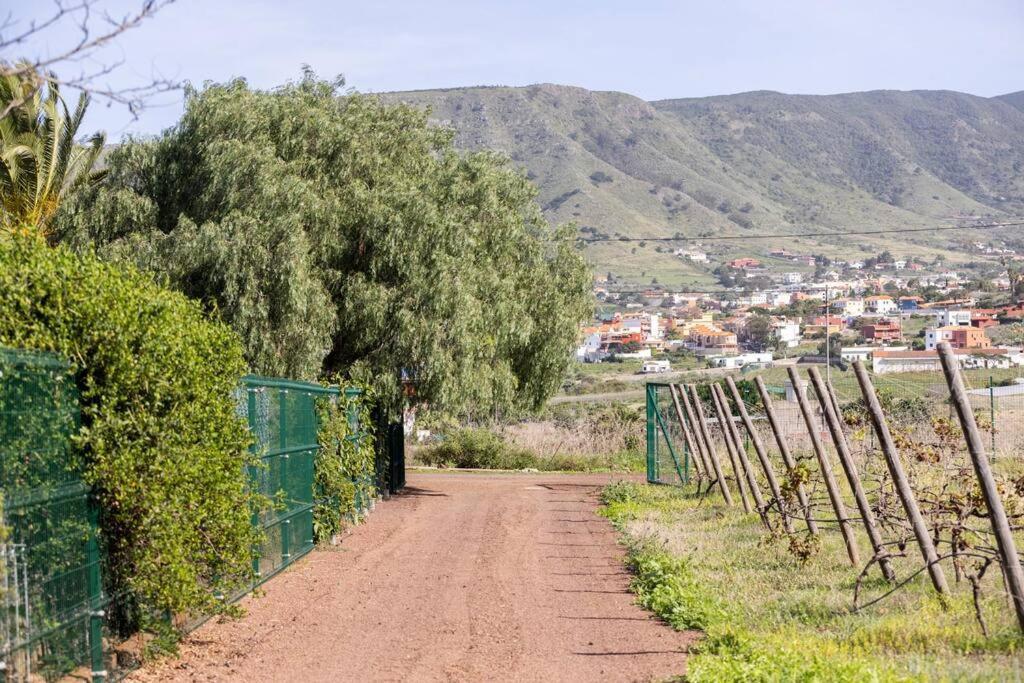 Casita Entre Vinedos, Experiencia Rural, Ideal Ninos. Tegueste Exteriér fotografie